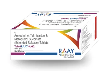 TelmiRAAY-AM2